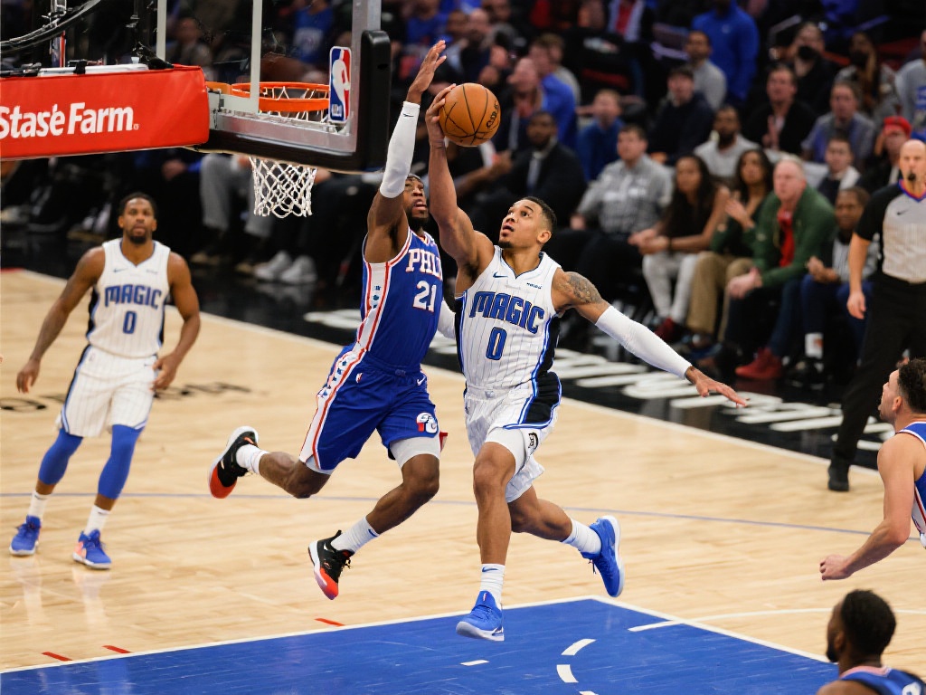 照联盟生态 照联盟生态